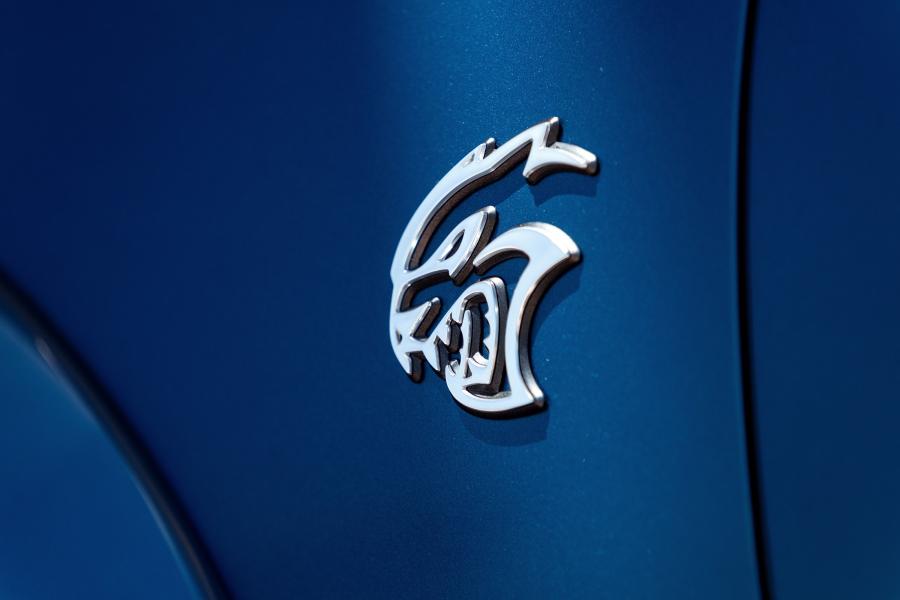Логотип Dodge Charger SRT Hellcat Widebody 2019 года  (фото 45 из 93)